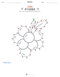 萨卡加维亚 可打印工作表预览