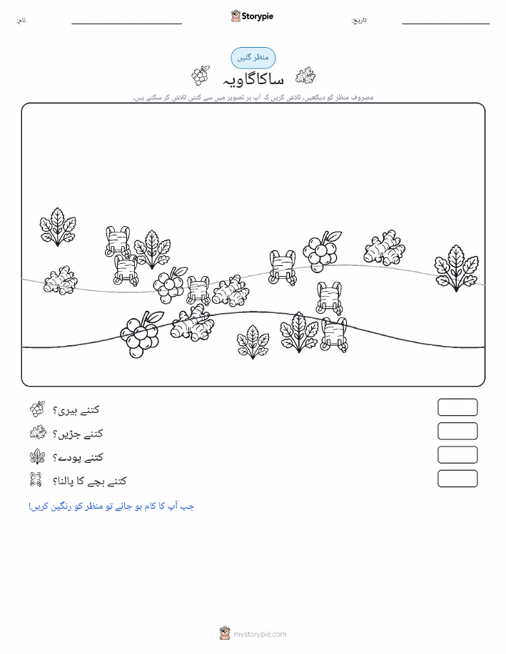 گنتی کا منظر