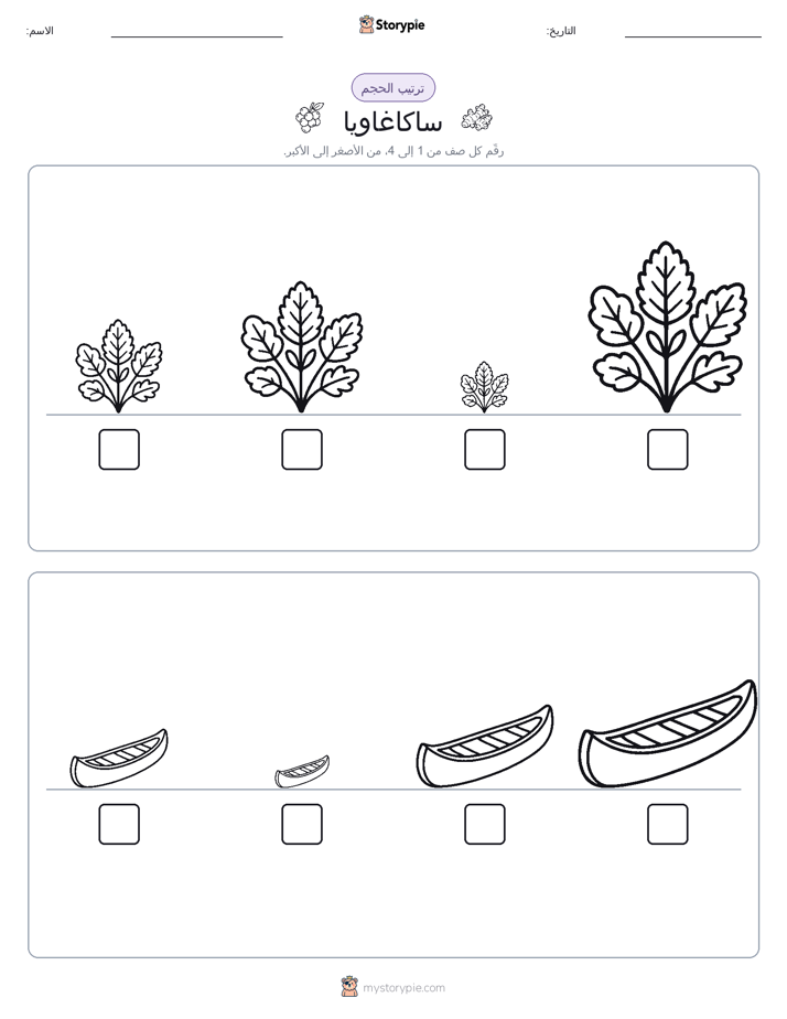 ترتيب الحجم