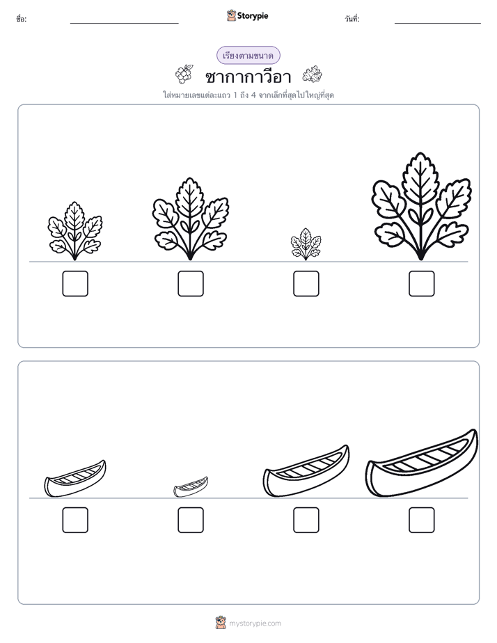 ลำดับขนาด