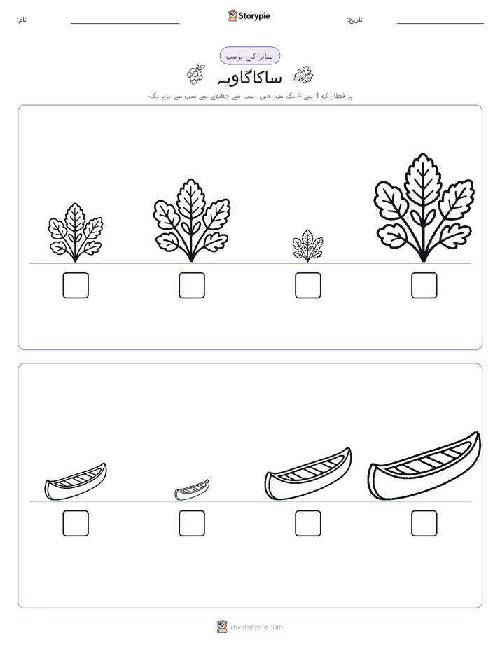 سائز کی ترتیب