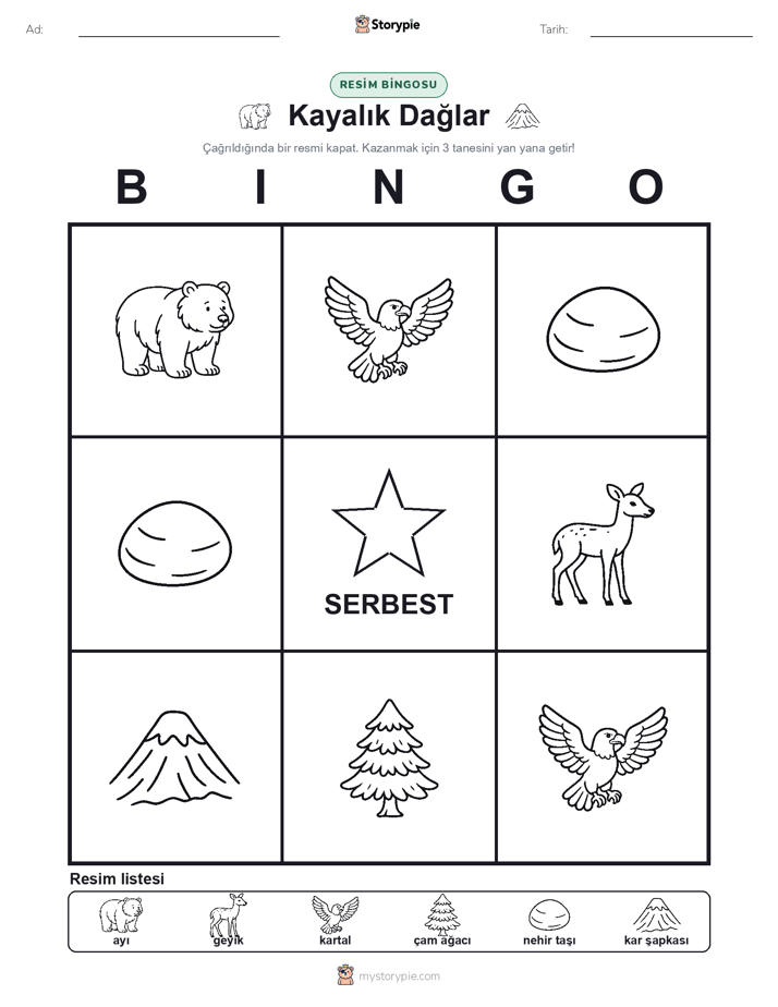 Resim Bingo