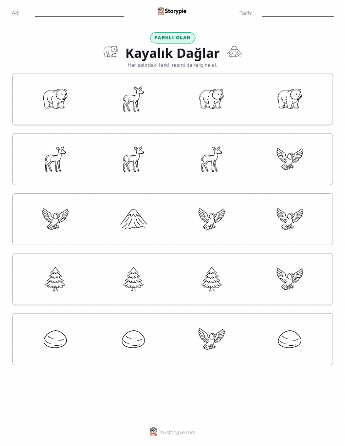 Farklı Olanı Bul