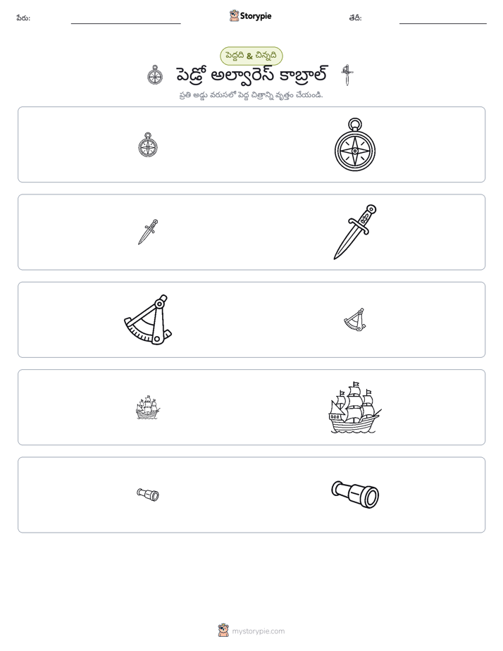 వర్గీకరణ