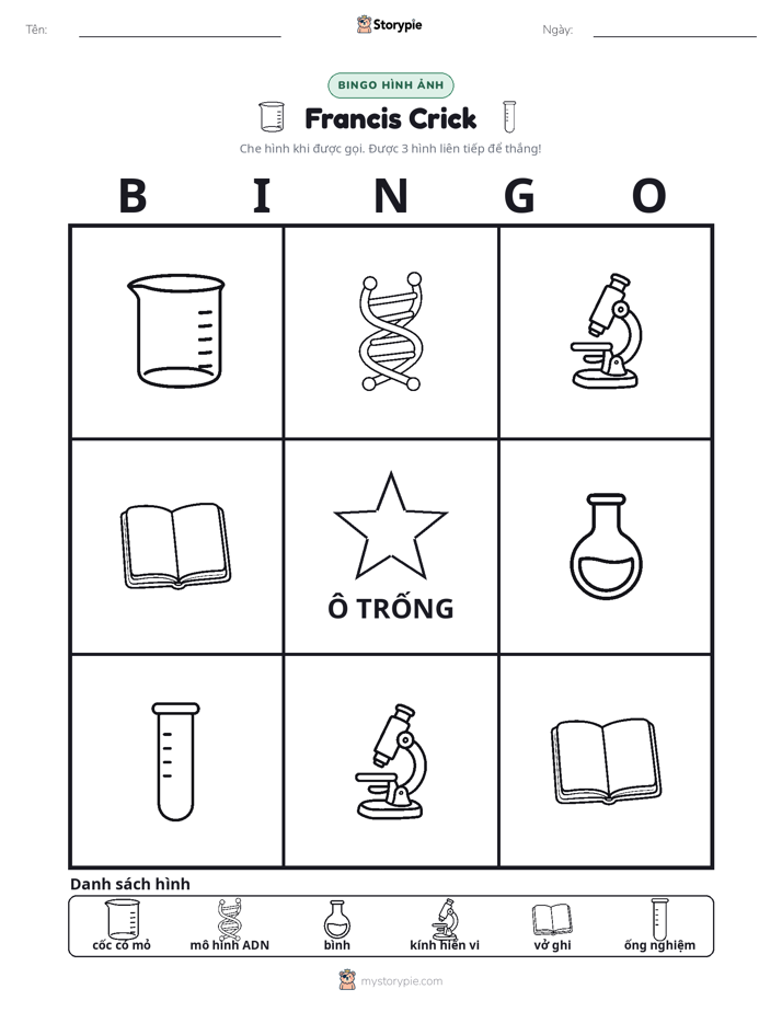Bingo Hình Ảnh