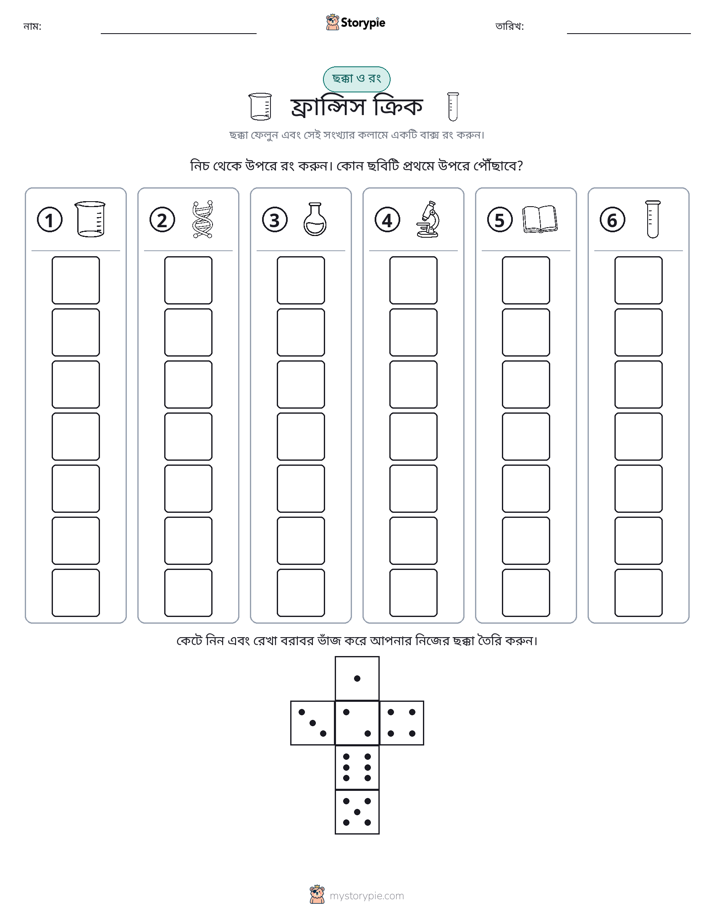 রোল & রঙ