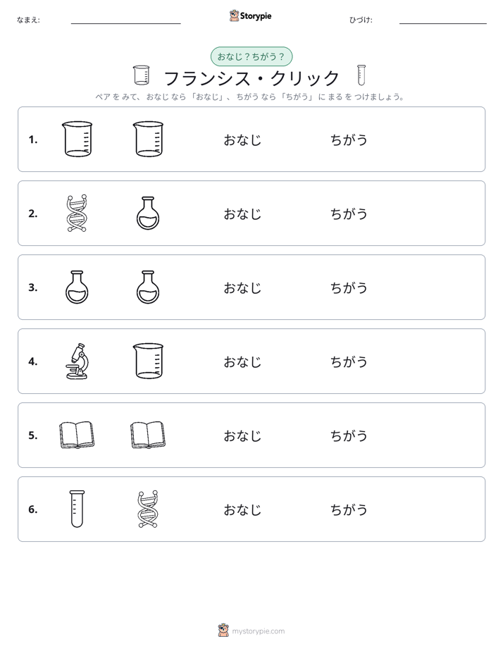同じか違うか