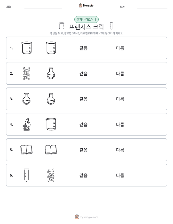 같은 것 또는 다른 것
