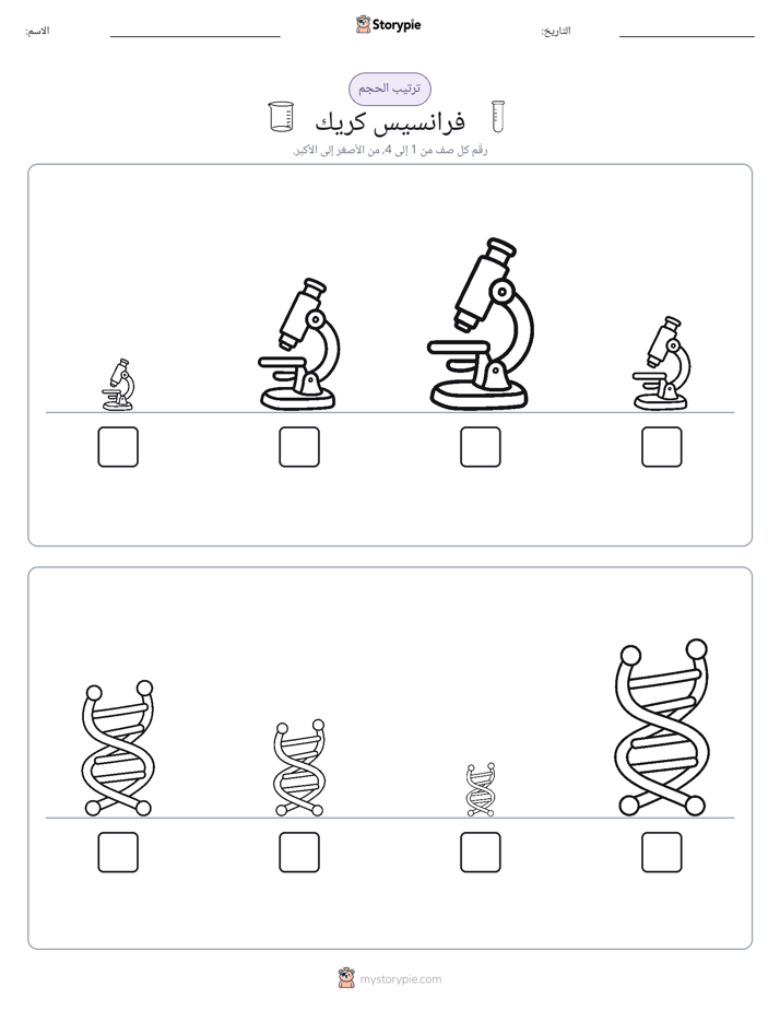 ترتيب الحجم