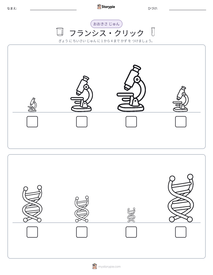 サイズ順