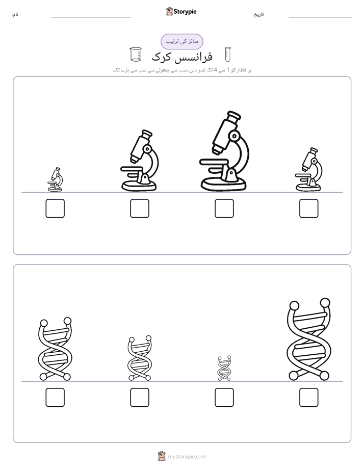 سائز کی ترتیب