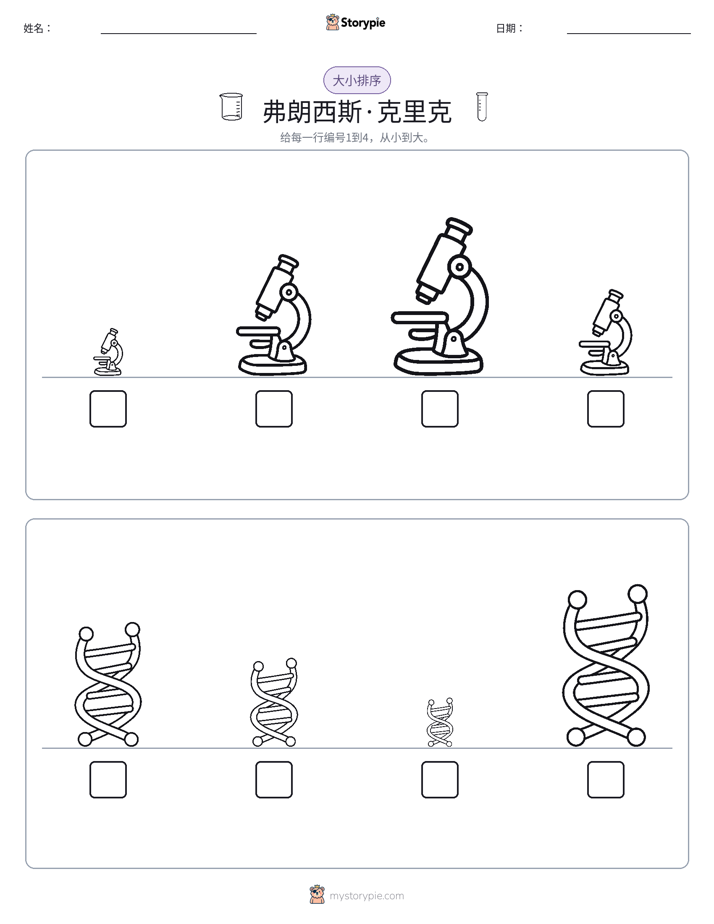 大小排序