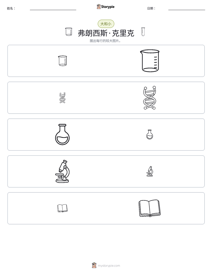 分类