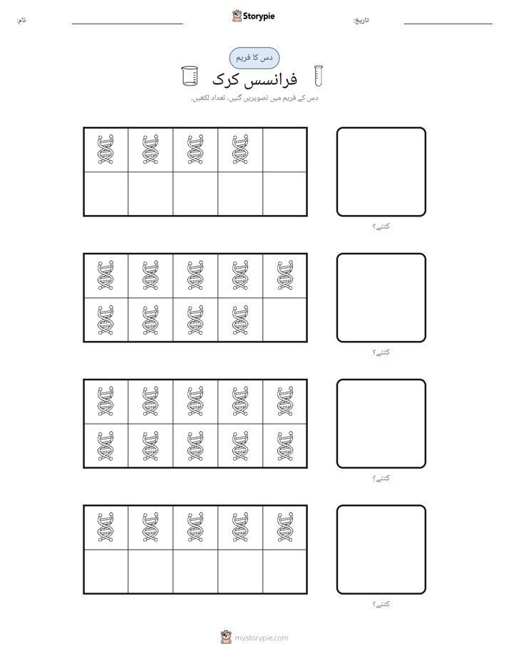 دس کا فریم
