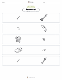 Tecumseh printable worksheet preview
