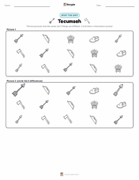 Tecumseh printable worksheet preview