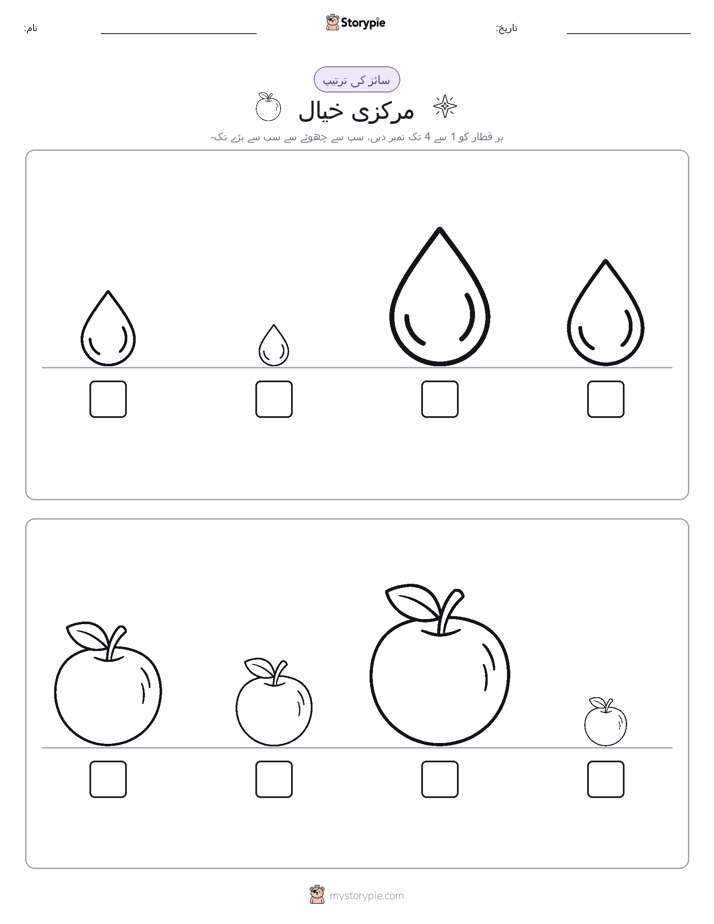 سائز کی ترتیب