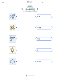 나스카 라인 인쇄 가능한 워크시트 미리보기