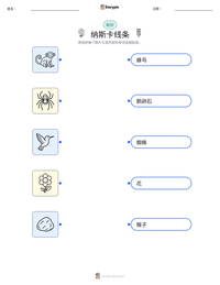 纳斯卡线条 可打印工作表预览