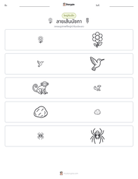 ลายเส้นนัซกา ตัวอย่างแบบฝึกหัดที่พิมพ์ได้