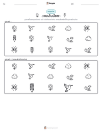 ลายเส้นนัซกา ตัวอย่างแบบฝึกหัดที่พิมพ์ได้
