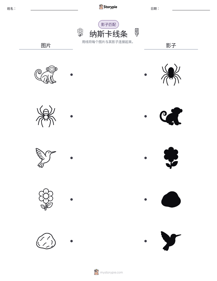 影子匹配