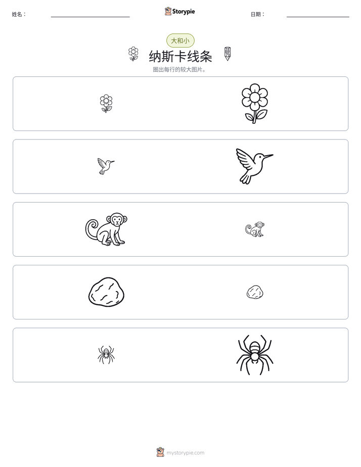 分类