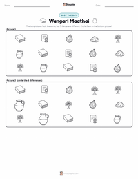 Wangari Maathai printable worksheet preview