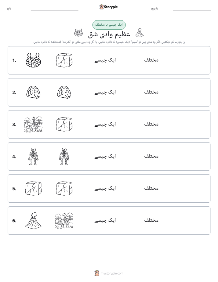 ایک جیسا یا مختلف