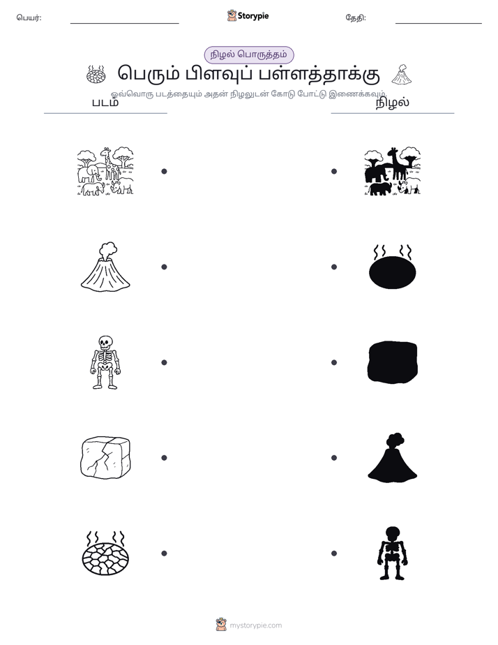 நிழல் பொருத்தம்