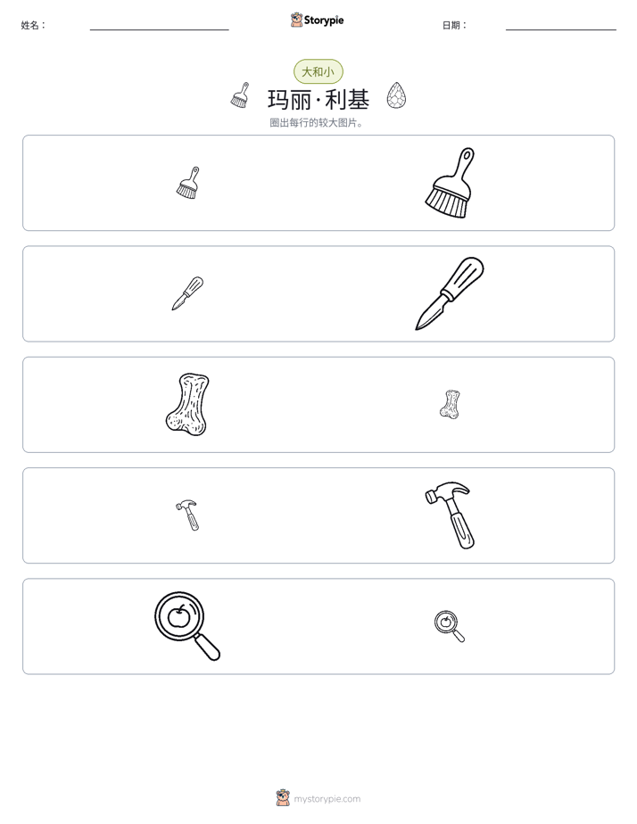 分类