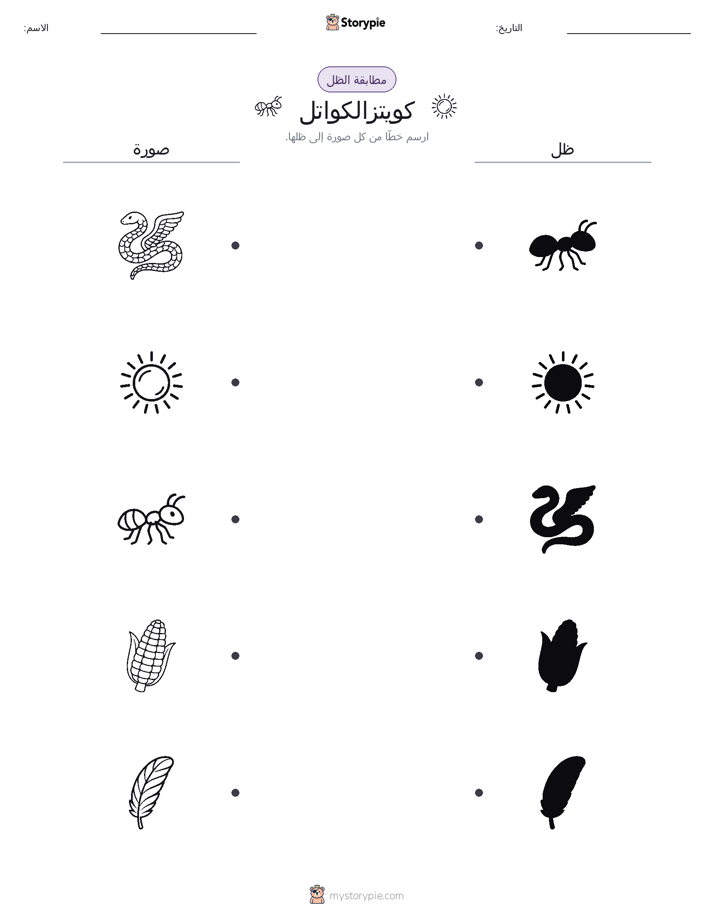 مطابقة الظل