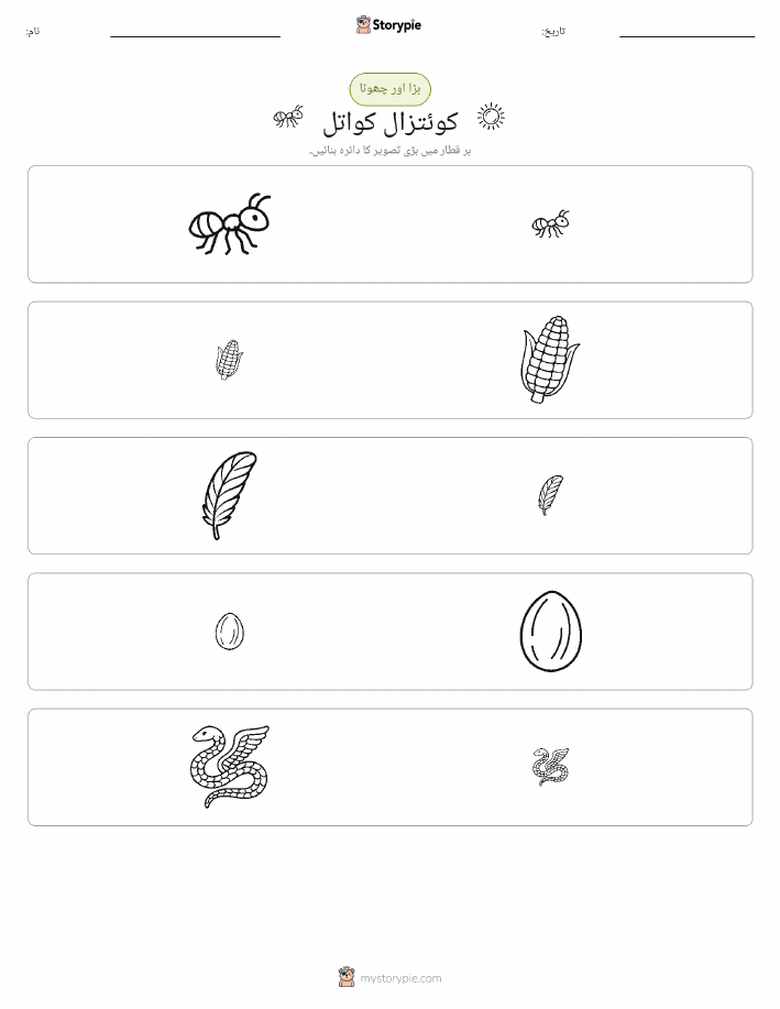 ترتیب دینا