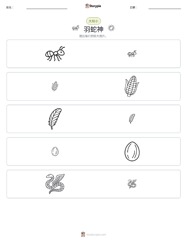 分类