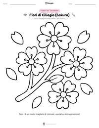 Anteprima della scheda stampabile di Fiori di Ciliegio (Sakura)