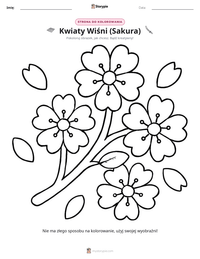 Podgląd drukowalnego arkusza ćwiczeń Kwiaty Wiśni (Sakura)