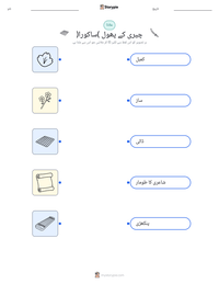 چیری کے پھول (ساکورا) پرنٹ کرنے کے قابل ورکشیٹ کا پیش نظارہ