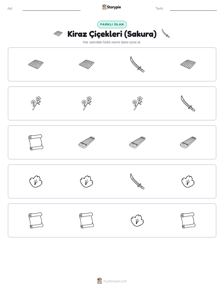 Farklı Olanı Bul