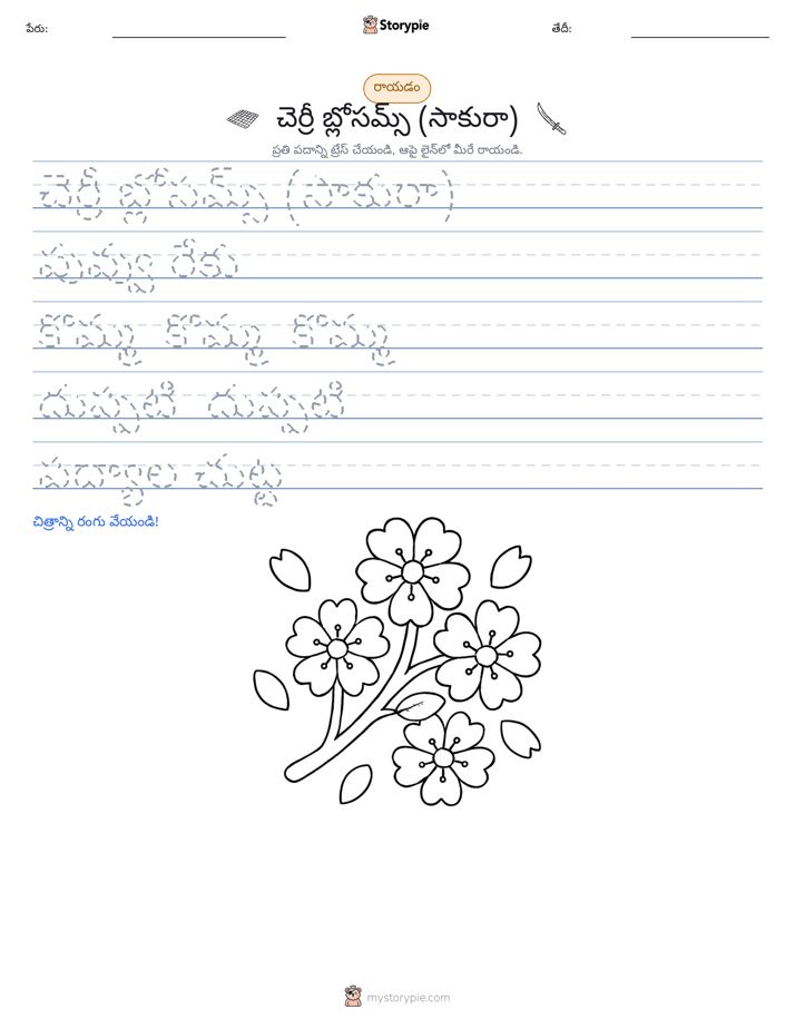 రాయడం సాధన