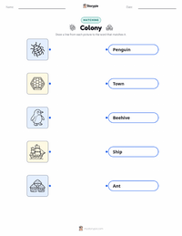 Colony printable worksheet for kids