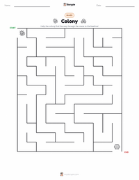 Colony printable worksheet preview