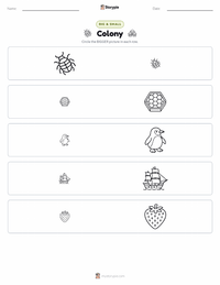 Colony printable worksheet preview