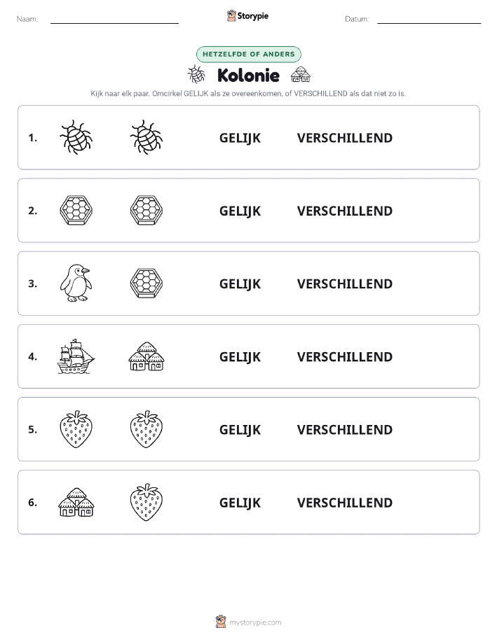 Zelfde of Verschillend
