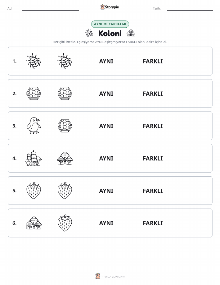 Aynı mı Farklı mı