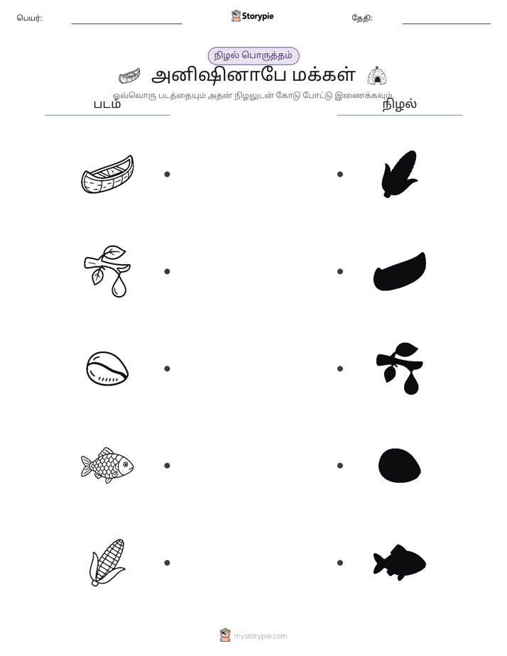 நிழல் பொருத்தம்
