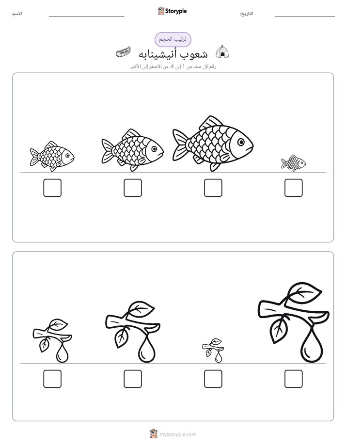 ترتيب الحجم
