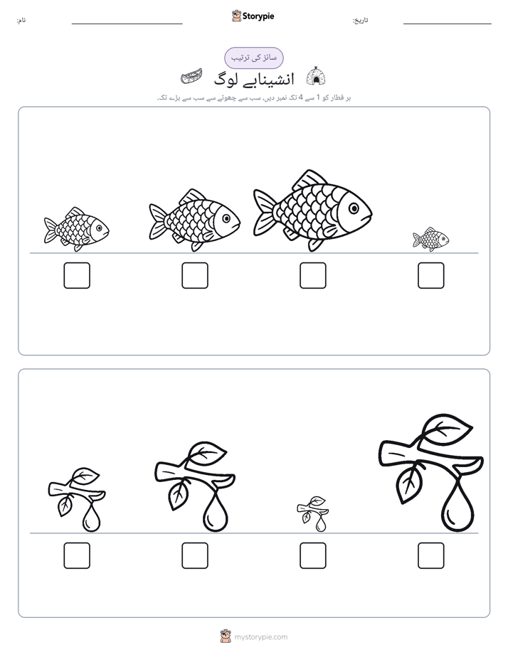 سائز کی ترتیب