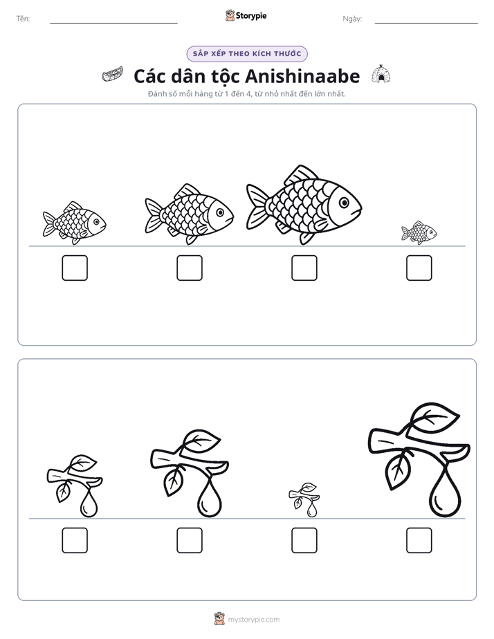 Thứ Tự Kích Thước