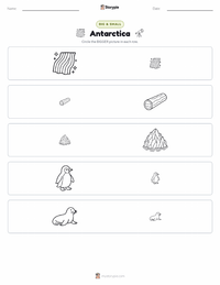 Antarctica printable worksheet preview
