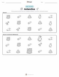 Antarctica printable worksheet preview